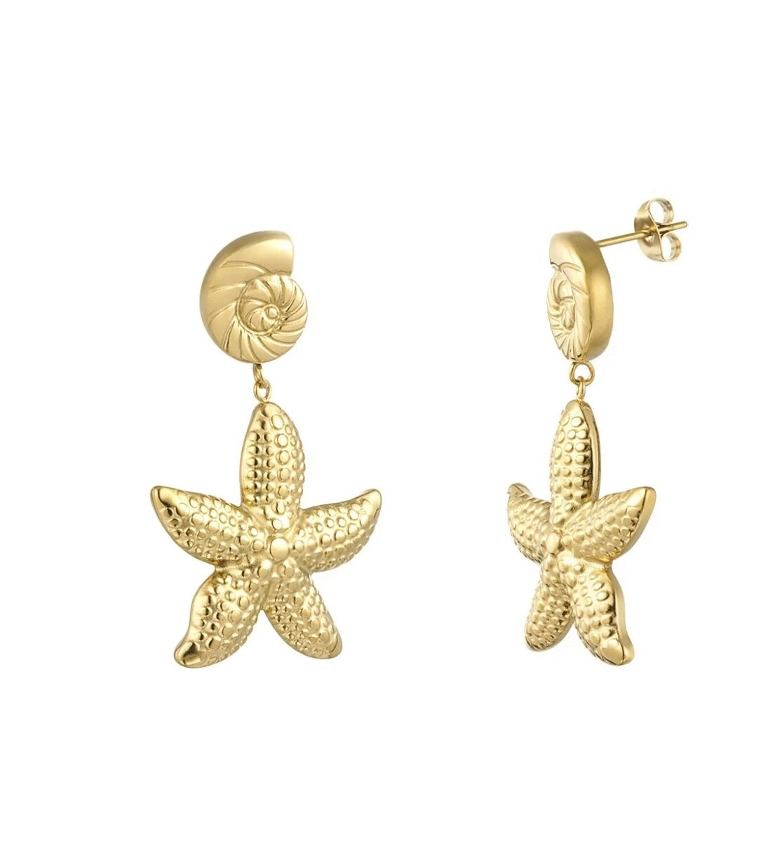 Sea Dreams - Oorbellen met schelp en zeester