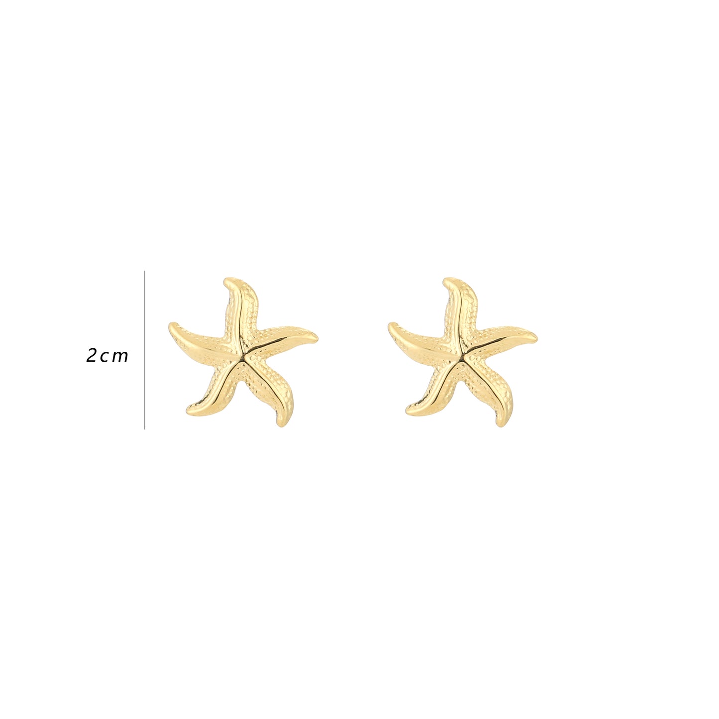 Sea Star - Oorbel zeestervorm